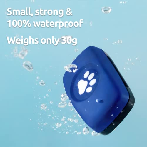 PitPat Dog GPS Tracker - No Subscription Required - Suitable for All Dogs And Fits All Collars - Smart Activity Tracker, Satellite Tracking With Unlimited Range - 100% Waterproof Pet Tracker (Black) - Image 6