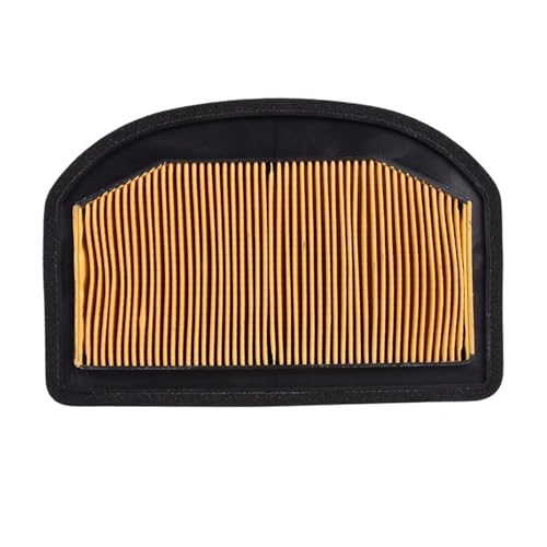 Filtre à air de rechange pour révision moto Tiger 1200 2012-2021