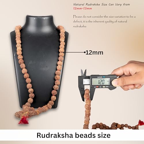 Wonder Care Authentic Rudraksha Natural Gemstone Yoga Meditation Beads Bracelet Free Size Wrist Friendship Band Unisex Adjustable Friendship Bracelet Rakhi Gift Free size