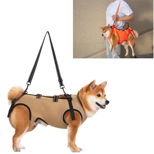 ACUOPNK pn[lXCʋC  pn[lX s⏕ V  pi EȒP V//p//aC ^ ^   r Q nr U  ̑Oƌ둫̕⏕ o֗ (J[L,XSȉd3`7