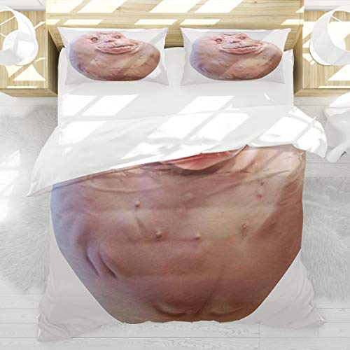 BEDNRY Humour Toujours Seul Rage Comique Face Icône Guy Personnages drôles Fat Chubby Laide Troll Illustration Housse de Couette 200x200cm 2 taie d'oreiller...