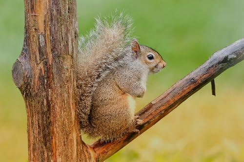 Episode 8 | No-remember November