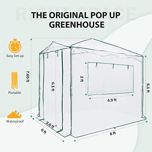 Image of EAGLE PEAK 8x6 Easy Setup Pop Up Greenhouse, Clear /White