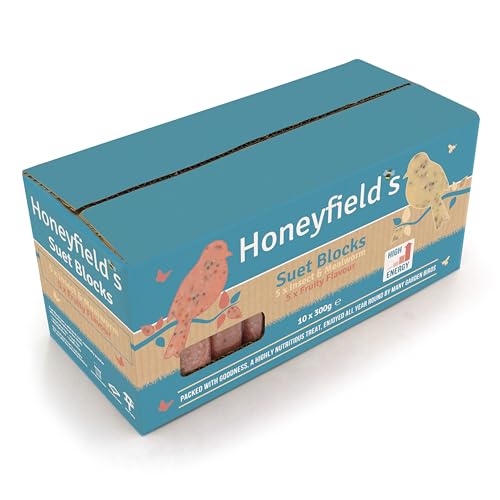 Honeyfields - Winter Suet Blocks for Wild Birds Wild Bird Food for Robins and Common Garden Breeds High Energy with Raisins Suitable for Year-Round Feeding Made in the UK (Mixed) (10 x 300g)