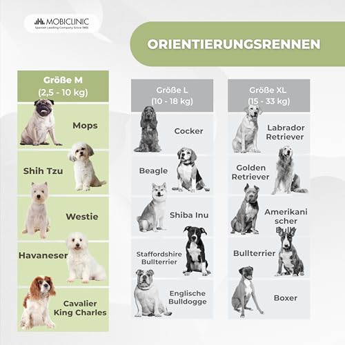 Mobiclinic®, Schwimmweste Hund, Haifischflossen-Design, Rettungsgriff, Verstellbares Geschirr, Leinenring, Hoher Auftrieb und Gute Sichtbarkeit, Sharky, Leicht, Schwimmen, Surfen, Segeln