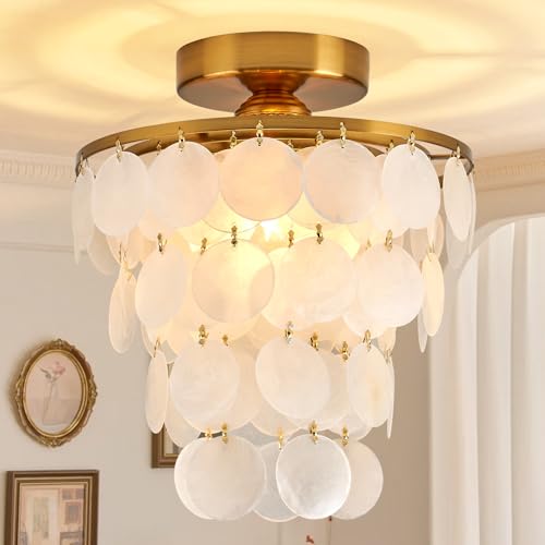 ZEDSUN Capiz Shell Ceiling Light image