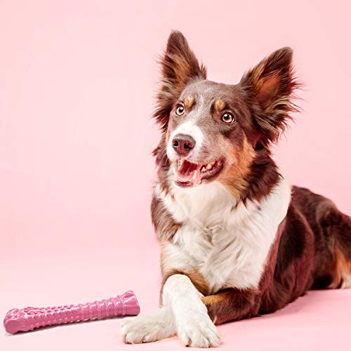 Nylabone Power Chew Breast Cancer Awareness Femur Bone Chew Toy for Dog, Indestructible Dog Toys for Aggressive Chewers, Chicken Flavor, X-Large/Souper (2 Count) by Nylabone - Image 5