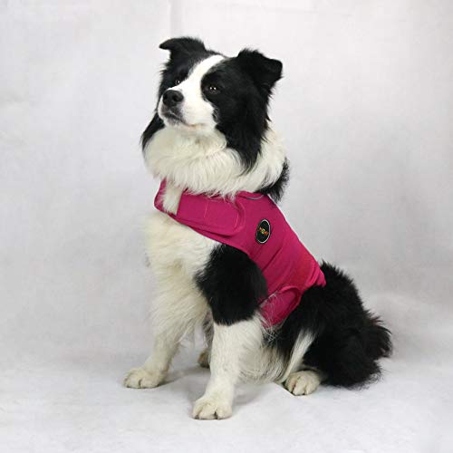 Image of MCHY Dog Anxiety Vest, Anxiety Relief for Dogs, Dog Calming Coat (Rose L)