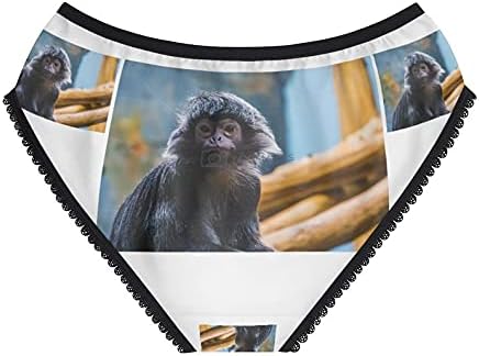 Javan Langur Monkey Panties, Javan Langur Monkey Underwear, Briefs, Cotton Briefs, Funny Underwear, Panties For Women