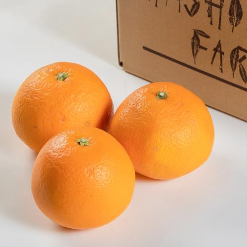 [先行予約]春峰 約3kg L・2L・3Lサイズおまかせ [赤秀] 和歌山県産[Mg4] 海南市 まごころ産直みかん