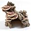 Mushroom Stump