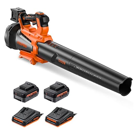 FIILPOW 40V 570CFM Leaf Blower, Brushless Leaf Blower Cordless with 2×4.0Ah Batteries and Fast Charger, Turbo Mode and 3 Variable Speed Lock, Axial Fan, Blower for Lawn Care, Yard, Driveway, Walkway