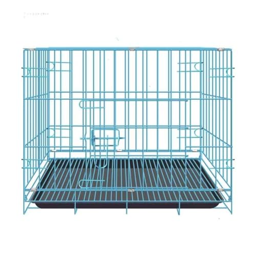 Diexgiy P[W ^ efB ^  ƒp gC ܂肽 L ETM P[W (u[,M:60*42*52cm)