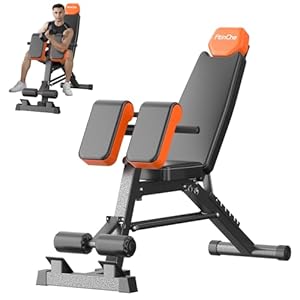 FitinOne Adjustable Weight Bench, Workout Bench for Home Gym, Multi-Functional Adjustable Weight Bench, Sturdy Durable Folding Weight Bench for Full Body, 660 LBS Capacity