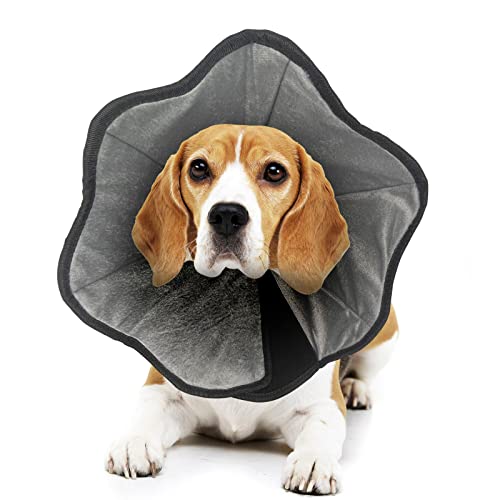 Top 18 Best soft cone for dogs Reviews & Buying Guide Fathers Work