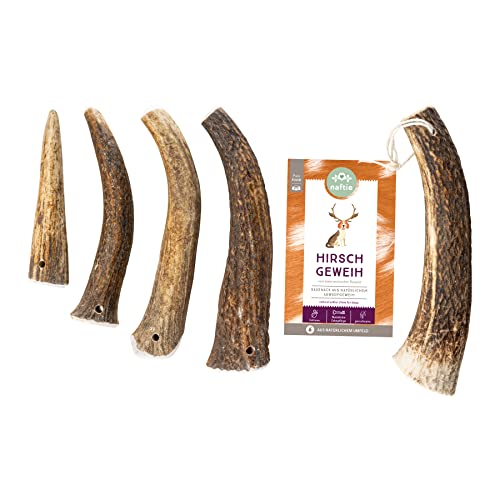 naftie Hirschgeweih Geweihstück ganz - Geweih Horn - XXL für sehr große Hunde - Abwurfstange vom Rothirsch - geruchsarm & langlebig