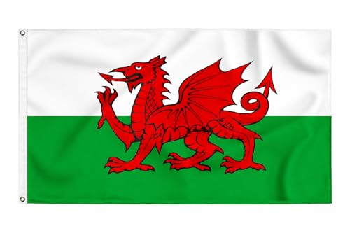 Storm&Lighthouse Welsh Flag Cymru Wales Flag 5ft x 3ft with Eyelets St Davids Day Six Nations Rugby Football World Cup Garden Street Party Accessories