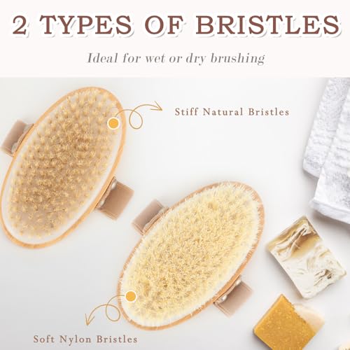 FREATECH 2-Pack Dry Brushing Body Brush Set for Lymphatic Drainage, Blood Circulation, Remove Dead Skin, Cellulite with Soft & Stiff Bristles, Wet or Dry Brushing for All Kinds of Skin - Image 4