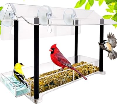 Nature Gear Acrylic Clear Bird Feeders for Window Viewing, Weather Resistant & Easy to Clean with Sliding Tray, Clear Window Bird Feeder with Strong Suction Cups, Column