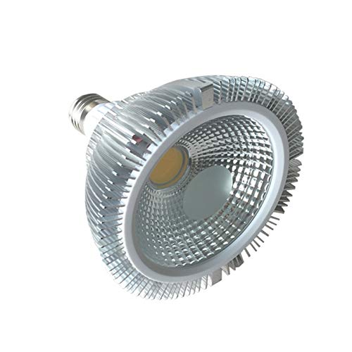 VCHICS Lampes COB Lampe LED PAR PAR38 Lumière Tache CE 12Wpar Rohs E27 Conduit Projecteurs Pour la maison et la piscine(Natural white 4000K)