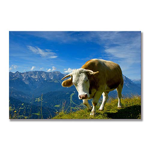 Affiche Vache des Highlands Five-Seller avec cadre en bois de 19,30 x 45 cm