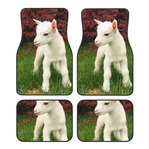 Tapis de voiture chèvre universel 4 pièces tapis de sol auto pour camionnette et berline