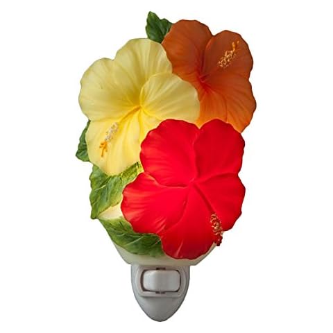 Ibis & Orchid Hibiscus Trio Night Light #50114 Cover