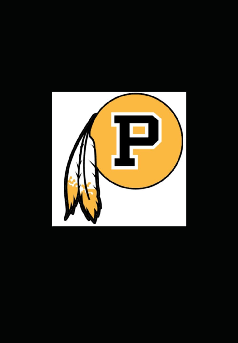 A Matter Of Pride: A History Of Pontotoc Warrior Football      Paperback – March 20, 2025