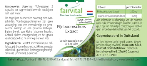 Extrait d'écorce de pin 95% de proanthocyanidines hautement dosé
