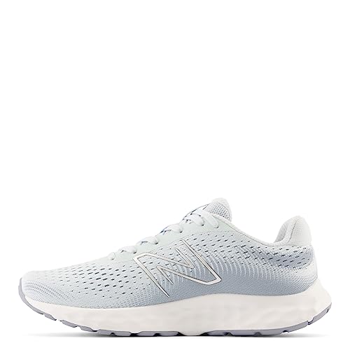 Image of New Balance Women's 520 V8 Shoes, Blue /Ice Blue, 5.5