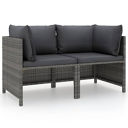 vidaXL Sofá de Jardín 2 Plazas con Cojines Patio Terraza Exterior Hogar Silla Asiento Muebles Mobiliario Suave Robusto Ratán Sintético Gris