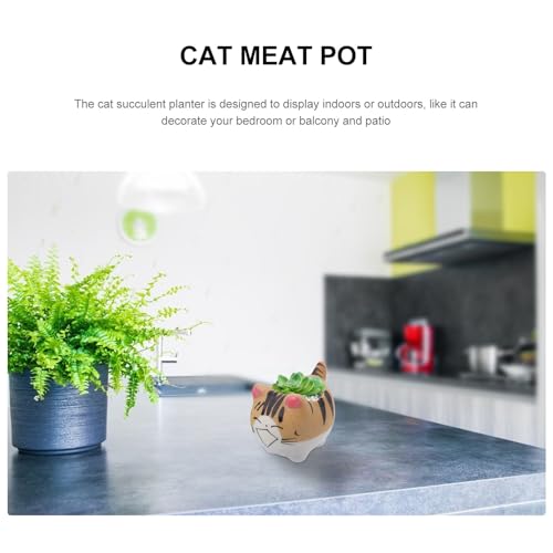 Pot de fleurs en céramique chat pour succulentes et mini cactus - 6