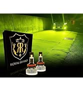 Amazon | 【2026年モデル】ロイヤルガード Ω(オメガ)シリーズ LED