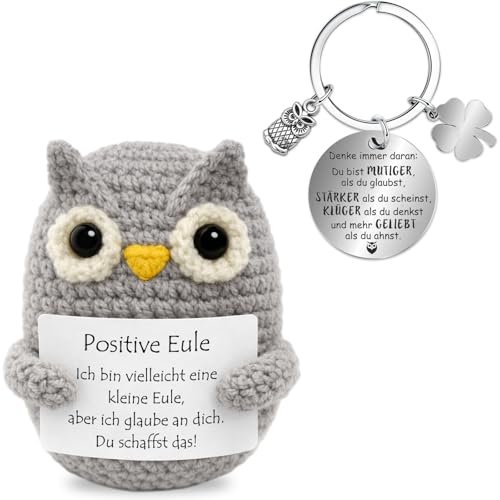 Farbeele Positive Eule und Glücksbringer-Schlüsselanhänger Pocket Hug Positive Figur MutmacherGeschenk Abschluss Geschenk Glücksbringer Prüfung Geburtstagsgeschenk