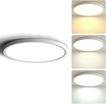 LightingWill 24W LED Ceiling Light Fixture, 12 inch Flush Mount Light Fixtures, 3 Colors 2800K/4000K/6500K in One Ceiling Lamp for Bedroom, Kitchen,Hallway, Office, Stairwell, Milk White