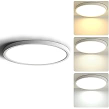 LightingWill 24W LED Ceiling Light Fixture, 12 inch Flush Mount Light Fixtures, 3 Colors 2800K/4000K/6500K in One Ceiling Lamp for Bedroom, Kitchen,Hallway, Office, Stairwell, Milk White