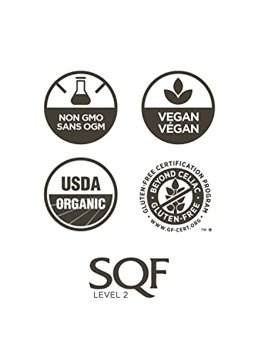 Elan Organic Raw Cashews, Non-Gmo, Vegan, Gluten-Free , 8 Pack Of 6.5 Oz #TOP4