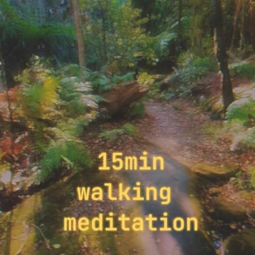 Page de couverture de Guided Meditation: Walking With A Friend