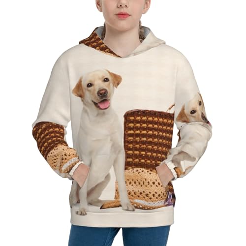 Labrador Dog Boy, Girls Sports Shirt Youth Pullover Fashion Hooded Sweatshirt3