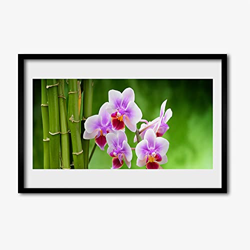 Image murale salon Tulup affiche encadrée 60x40 cm fleurs d'orchidée en bambou zen
