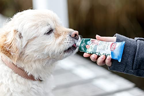 TRIXIE Hundeleckerli PREMIO Hunde-Leberwurst mit Hanf 75g - Premium Leckerlis für Hunde glutenfrei - ohne Getreide & Zucker, schmackhafte Belohnung für Training & Zuhause - 31846