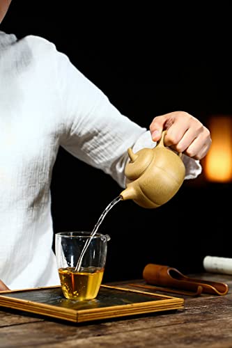 Image of Chinese Zisha Teapot Clay 230ml Small Chinese Gongfu Tea Pot Sesame Mud for Loose Tea Home Office (Pumpkin)