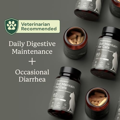 Image of Animal Biome Cat Pre and Probiotic, S Boulardii, Gut Maintain, 60 Capsules | Triple-Action Cat Probiotics, Prebiotics & Phage Supplements for Gut Health, Hairballs, Diarrhea Support, Open as Food Topper