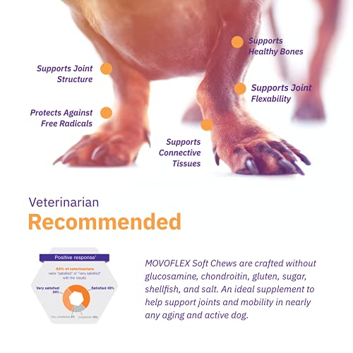 Movoflex Dog Hip & Joint Support For Large Dogs - Veterinarian Formulated - One Chew A Day Serving Size - Gluten Free - 60 Soft Chews #TOP4