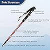 TheFitLife Nordic Walking Trekking Poles - 2 Packs with Antishock and Quick Lock System, Telescopic, Collapsible, Ultralight for Hiking, Camping, Mountaining, Backpacking, Walking, Trekking (Red)