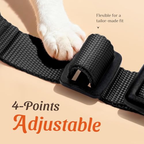 Image of Dooradar Cat Harness and Leash Set, Escape Proof Safe Adjustable Kitten Vest Harnesses for Walking, Easy Control Soft Breathable Mesh Jacket with Reflective Strips for Cats, Black, XS