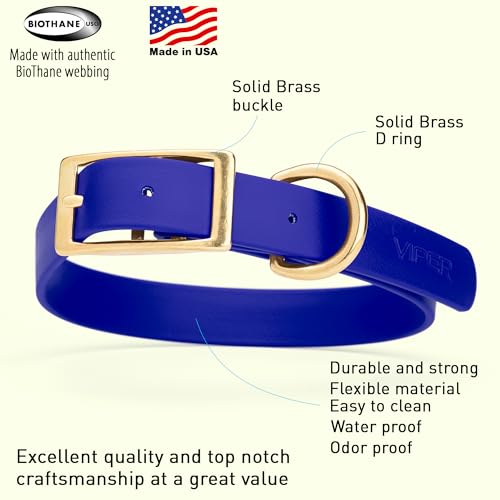 Image of Viper Biothane Heavy Duty Waterproof Dog Collar Strong Coated Nylon Webbing w /Solid Brass Hardware Odor-Proof Easy to Clean High Performance Fits Small Medium or Large Dogs, Blueberry Royal