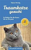 Traumkatze gesucht: So findest Du die Katze, die zu Dir passt Traumkatze gesucht: So findest Du die Katze, die zu Dir passt