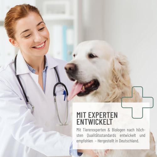 ReaVET Arthro Gelenköl 500ml für Hunde - Zur Unterstützung des Gelenkstoffwechsels bei Osteoarthritis (Arthrose) I Gelenke Hund, Gelenk-Komplex statt Gelenktabletten