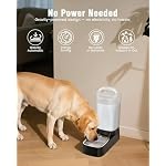 Automatic Dog Water Bowl Dispenser - 2.4 Gallon Stainless Steel Gravity Pet Water Feeder with Ergonomic Handle Design Anti Splash Drinking Bowl Without Filter Easy to Clean Multi Pet Use - Image 5